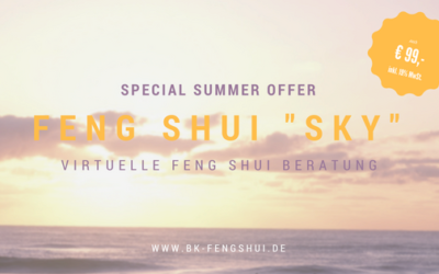 Tolles Angebot – Beratung per SKYPE für nur € 99,- !