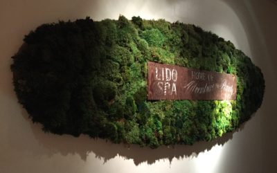 Trend: Moos und Gräser an der Wand