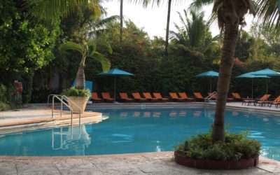 Miami Review – TOP TIPPS für eine besondere Auszeit