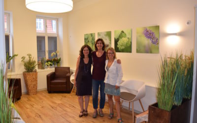 Feng Shui MED: Erfolgreiche Praxis-Eröffnung