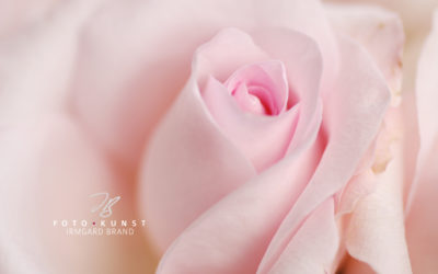 Feng Shui in LOVE – Top Tipps für mehr Liebe in der Partnerschaft