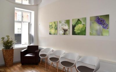 Feng Shui für Arztpraxis – erfolgreiches Projekt unter der Lupe