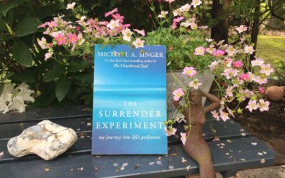 The Surrender Experiment – Reise in die Perfektion des Lebens