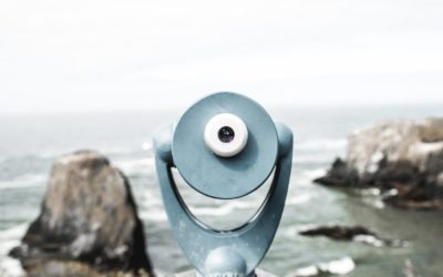 Learn More – Feng Shui News, Fragen & Antworten