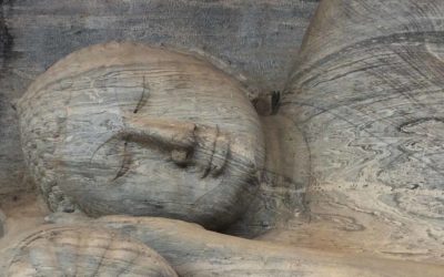 MAGIC – Meine erfolgreiche AYURVEDA-KUR in Sri Lanka & TOP Health Tipp für dich