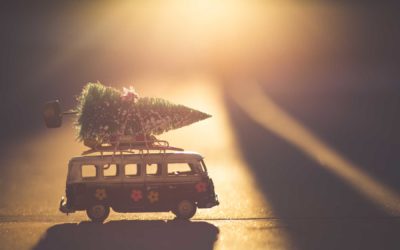 Oh Tannenbaum à la Feng Shui – Tipps für Deko & Location